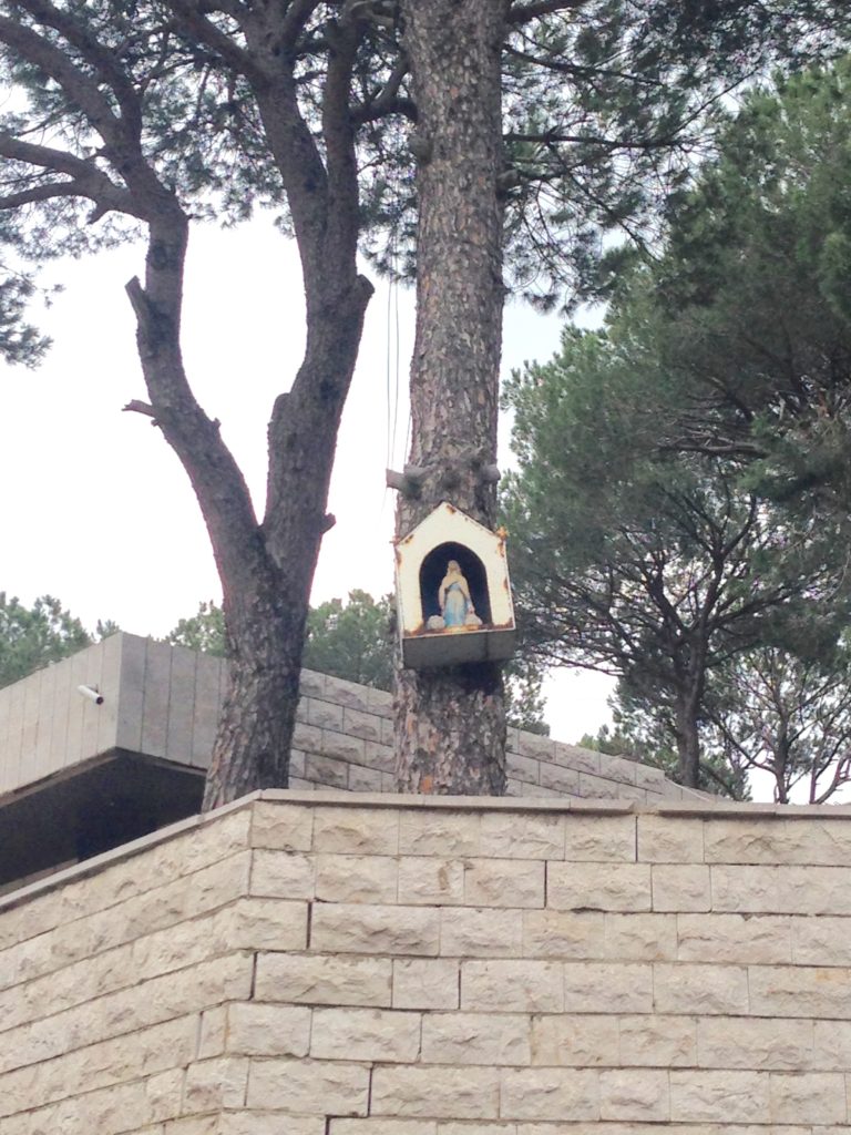 Mini shrine for the Virgin Mary high on a pine tree