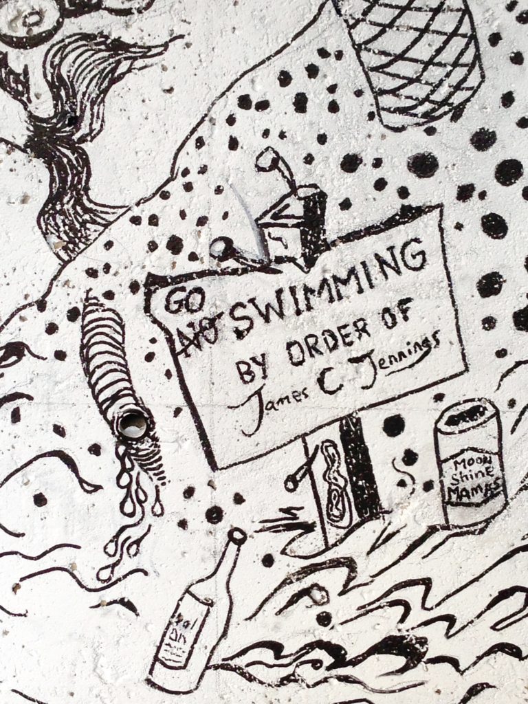 Detail of 'Go Swimming' by James C Jennings