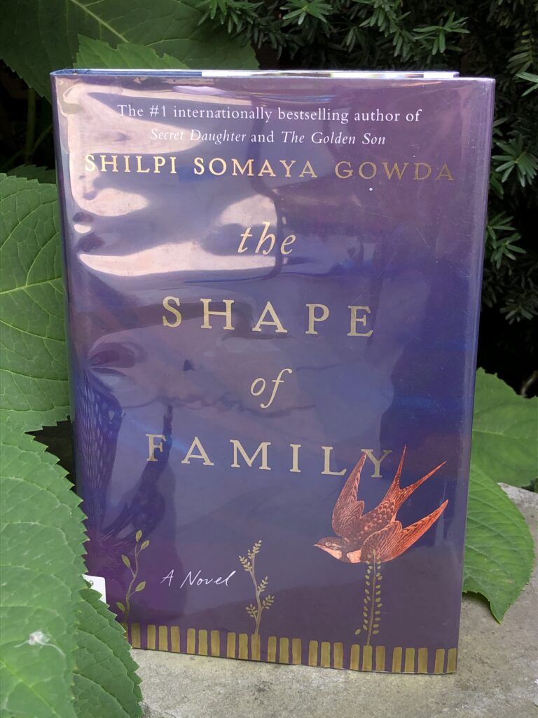 The Shape of Family by Shilpi Somaya Gowda